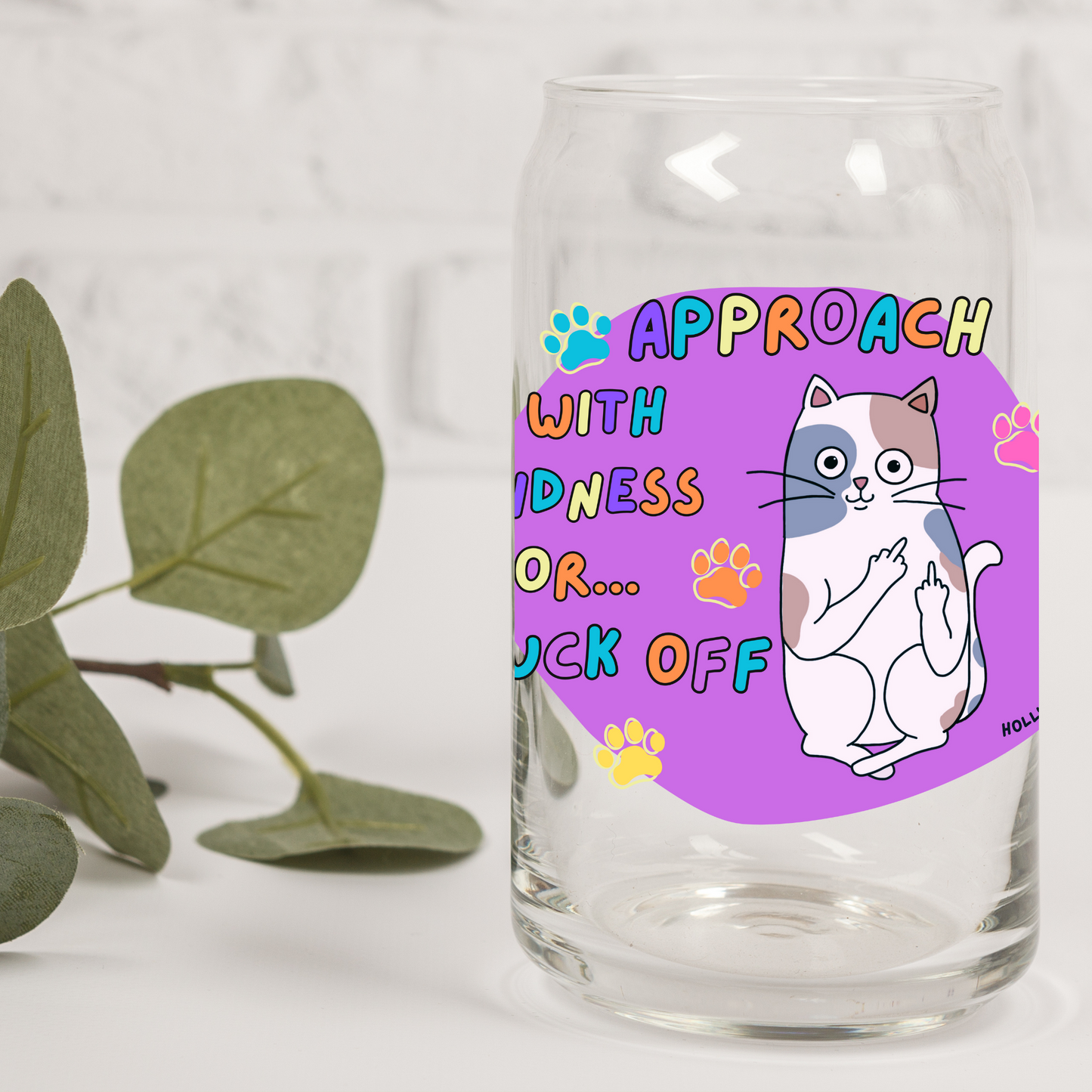 Approach with kindness or F** _16oz glass tumbler